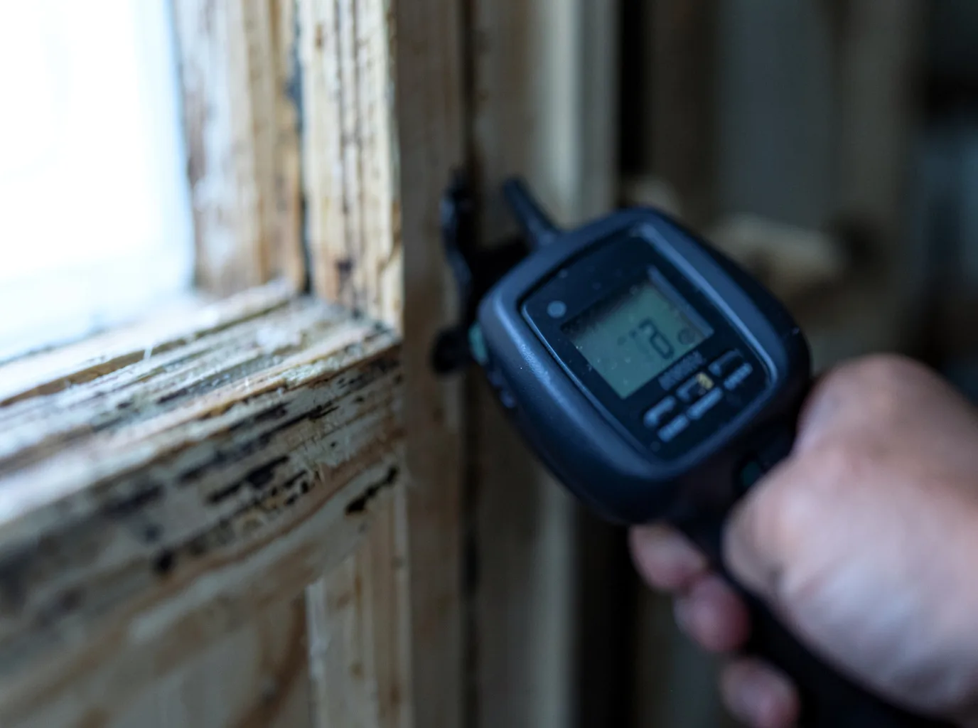 Moisture Inspection And Documentation in Mayville, MI